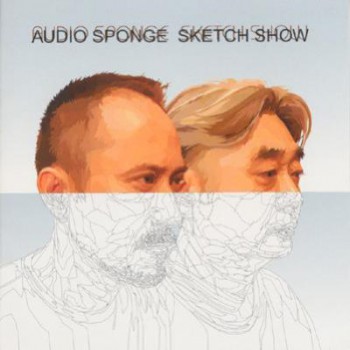 audio sponge